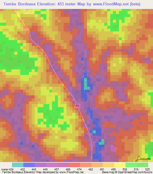 Tembe Bordeaux,Cameroon Elevation Map