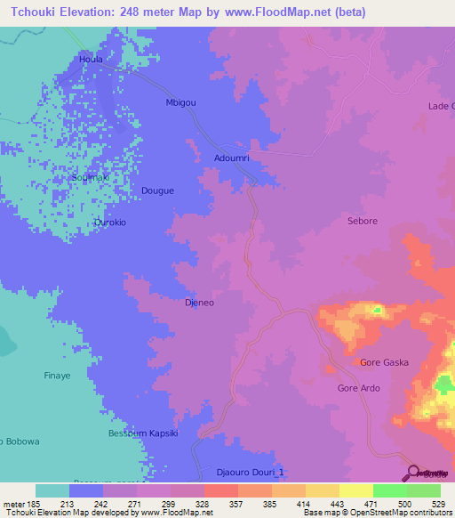 Tchouki,Cameroon Elevation Map