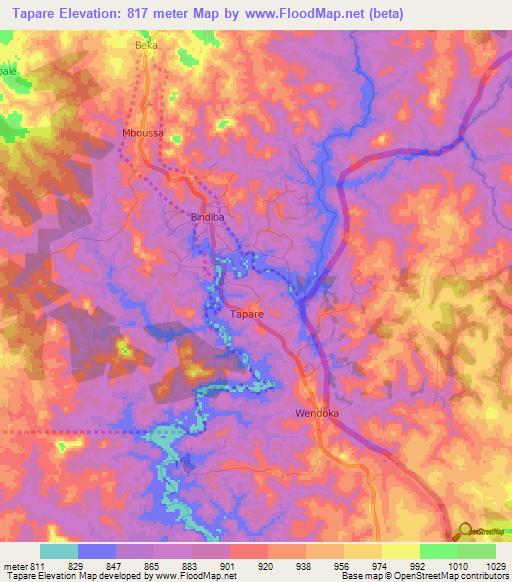 Tapare,Cameroon Elevation Map