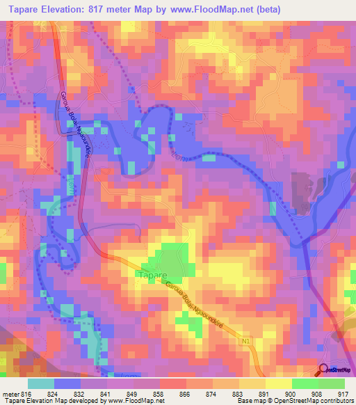 Tapare,Cameroon Elevation Map