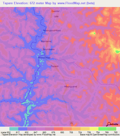 Tapare,Cameroon Elevation Map