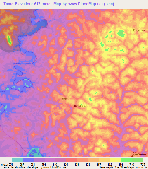 Tame,Cameroon Elevation Map