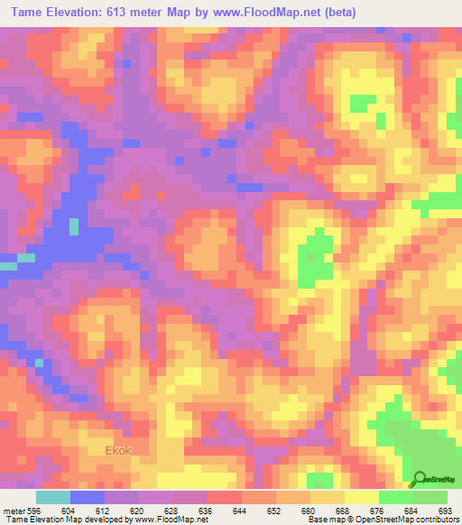 Tame,Cameroon Elevation Map