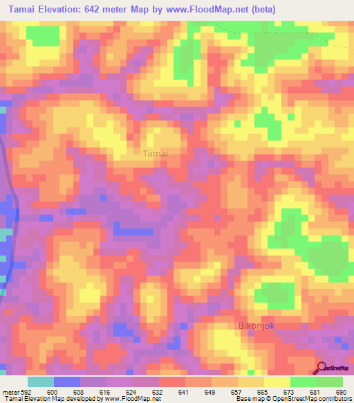 Tamai,Cameroon Elevation Map