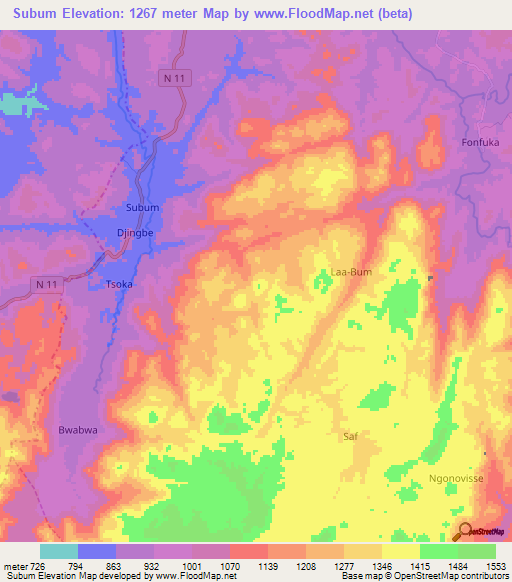 Subum,Cameroon Elevation Map