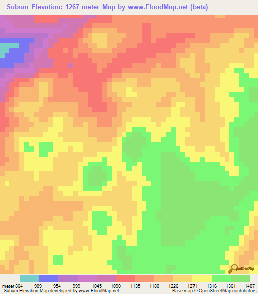 Subum,Cameroon Elevation Map