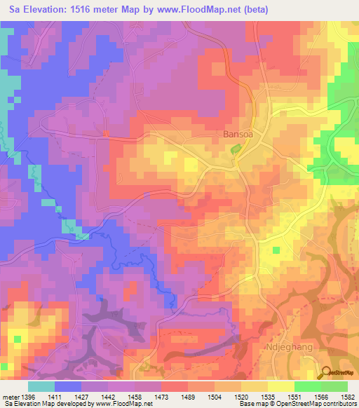 Sa,Cameroon Elevation Map