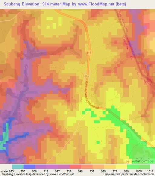 Saubang,Cameroon Elevation Map