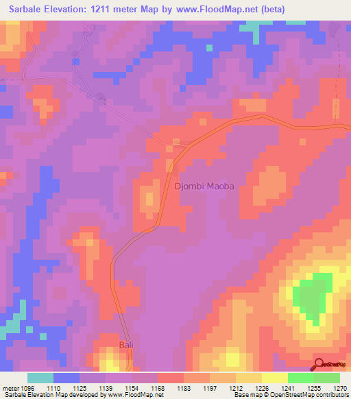 Sarbale,Cameroon Elevation Map