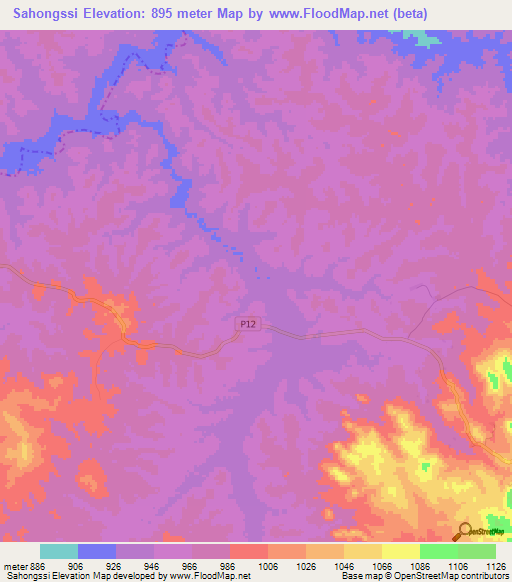 Sahongssi,Cameroon Elevation Map