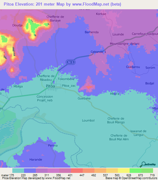 Pitoa,Cameroon Elevation Map