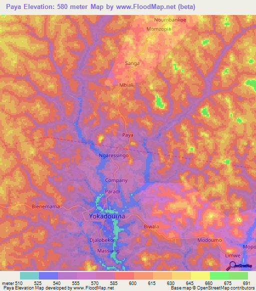 Paya,Cameroon Elevation Map