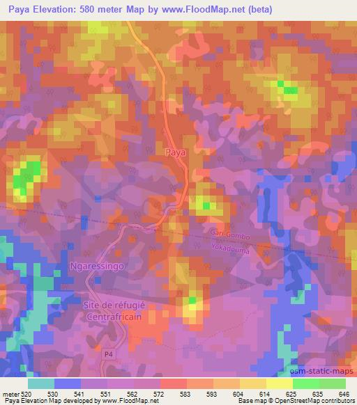 Paya,Cameroon Elevation Map