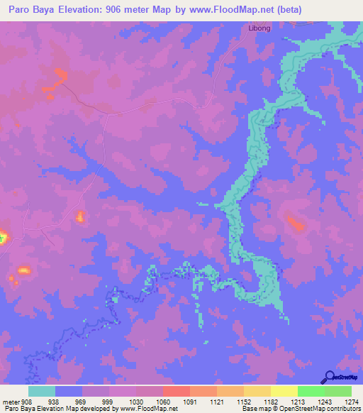 Paro Baya,Cameroon Elevation Map