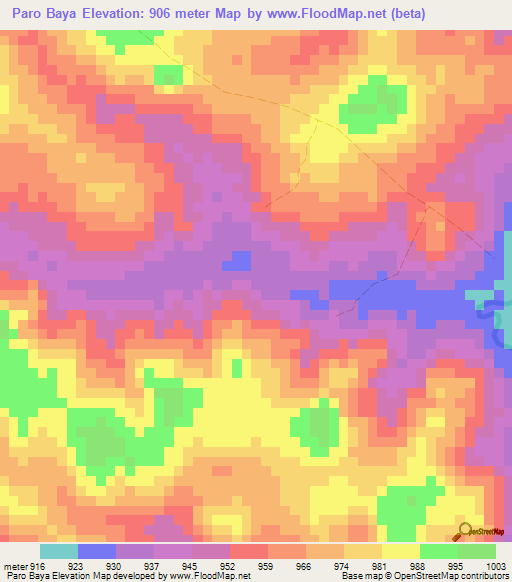 Paro Baya,Cameroon Elevation Map