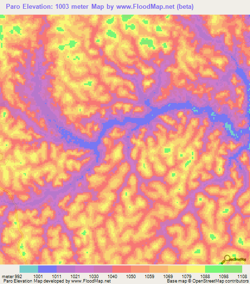 Paro,Cameroon Elevation Map