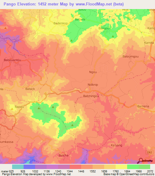 Pango,Cameroon Elevation Map