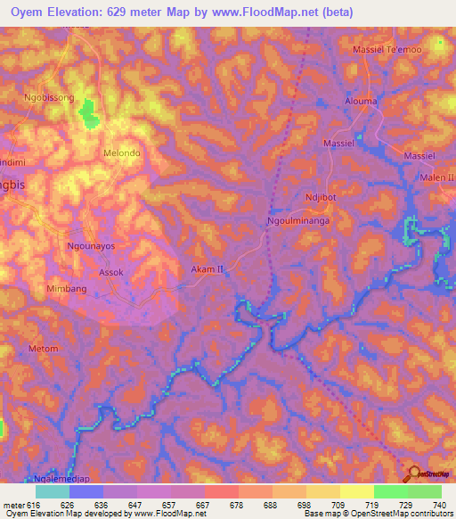 Oyem,Cameroon Elevation Map