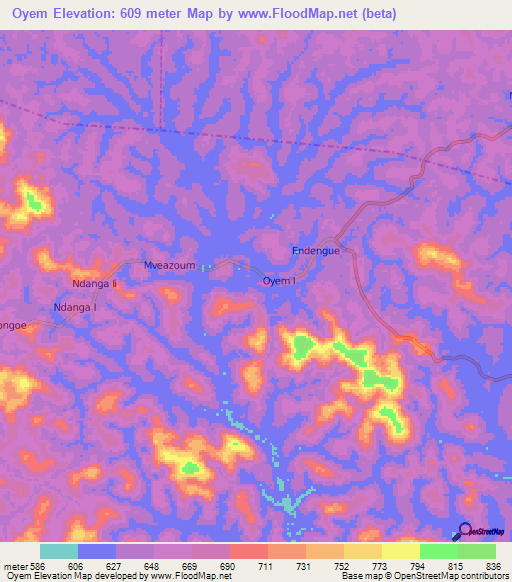 Oyem,Cameroon Elevation Map