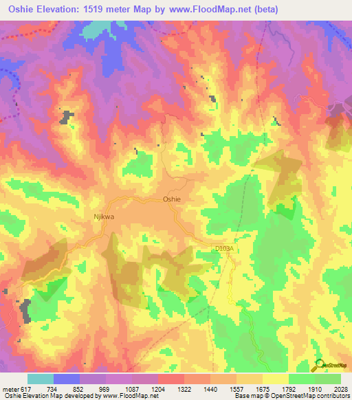 Oshie,Cameroon Elevation Map