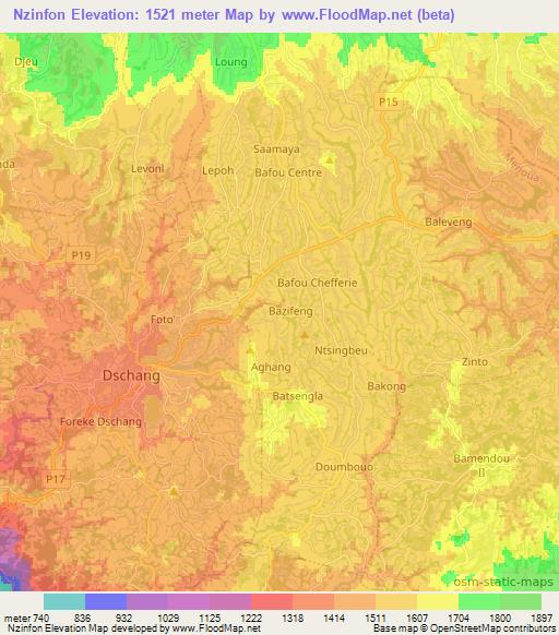 Nzinfon,Cameroon Elevation Map