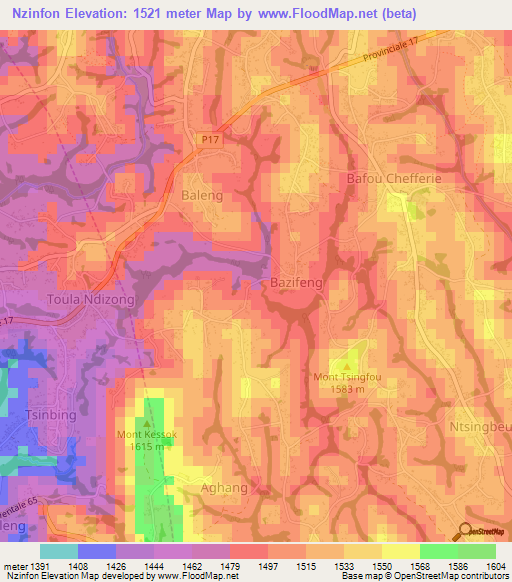 Nzinfon,Cameroon Elevation Map