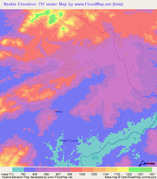 Nzakie,Cameroon Elevation Map