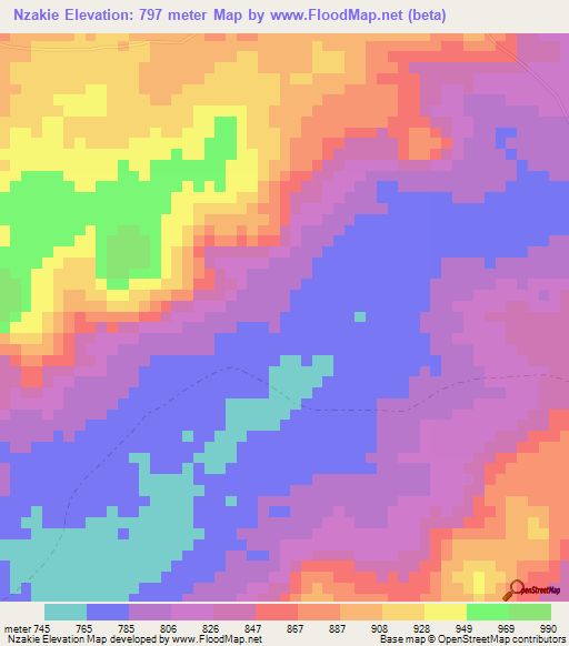 Nzakie,Cameroon Elevation Map