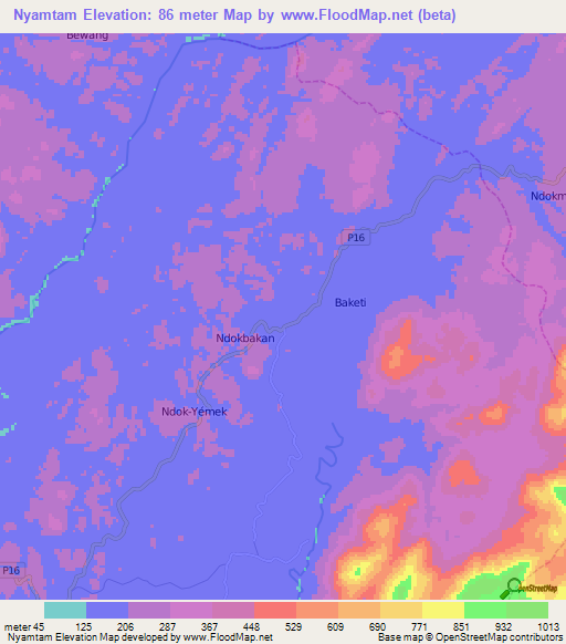 Nyamtam,Cameroon Elevation Map