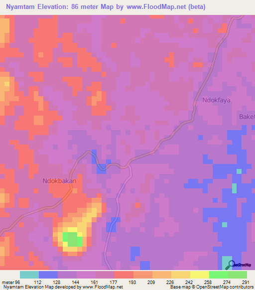 Nyamtam,Cameroon Elevation Map