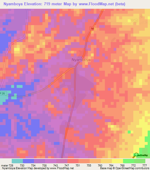 Nyamboya,Cameroon Elevation Map