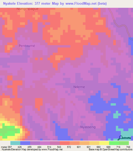 Nyakele,Cameroon Elevation Map