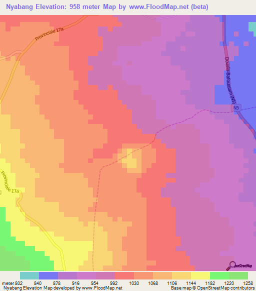 Nyabang,Cameroon Elevation Map