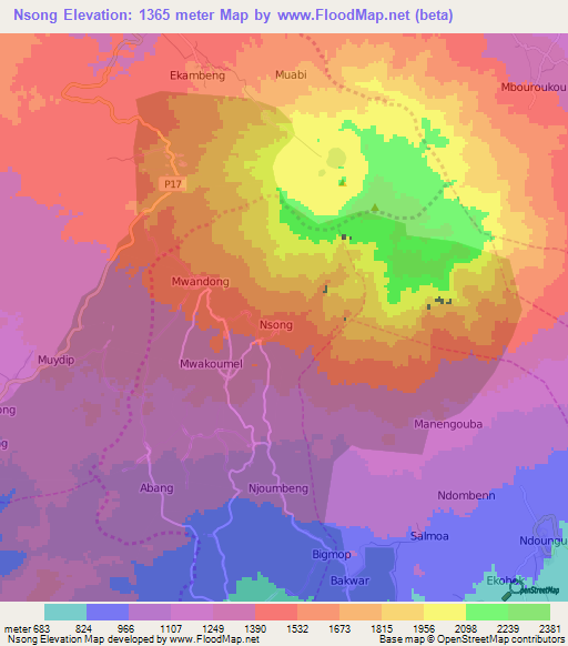 Nsong,Cameroon Elevation Map