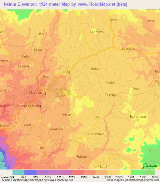 Nsinla,Cameroon Elevation Map