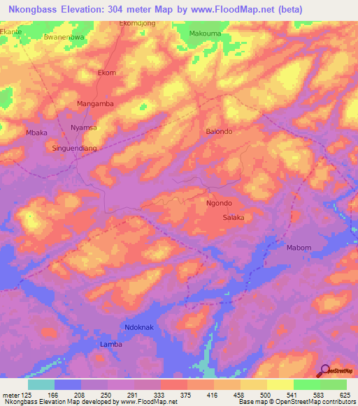 Nkongbass,Cameroon Elevation Map