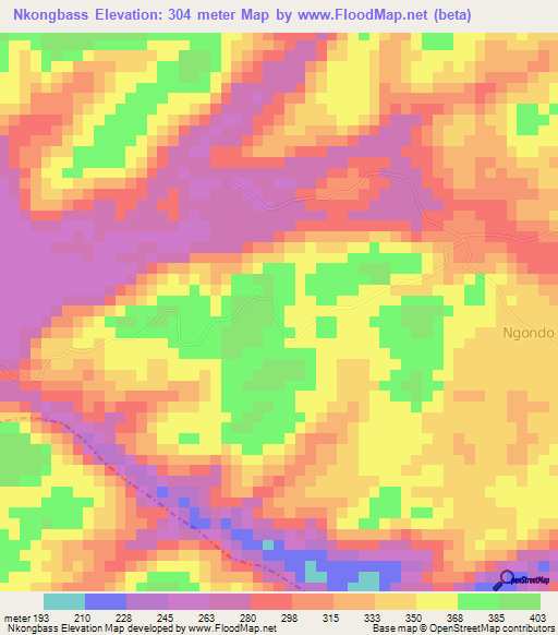 Nkongbass,Cameroon Elevation Map