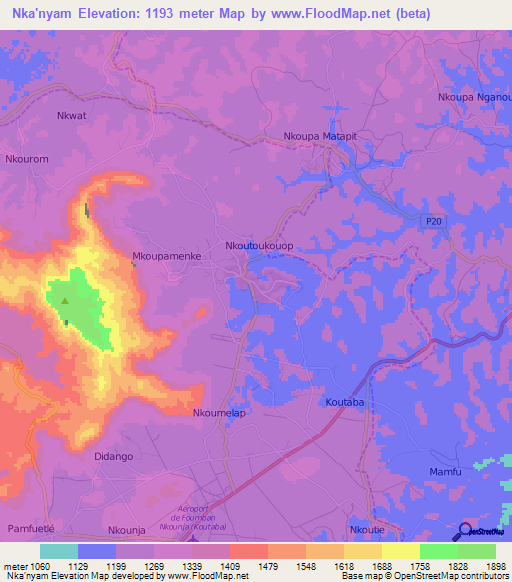 Nka'nyam,Cameroon Elevation Map