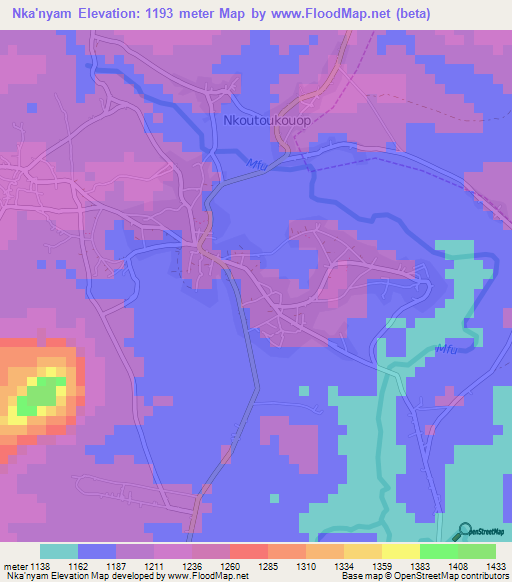 Nka'nyam,Cameroon Elevation Map