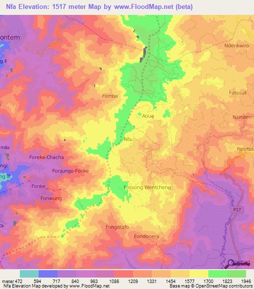 Nfa,Cameroon Elevation Map