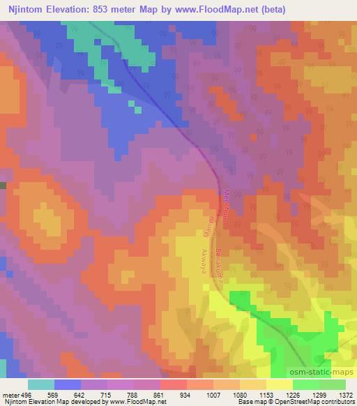 Njintom,Cameroon Elevation Map