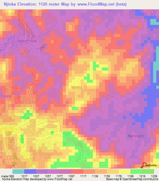 Njinka,Cameroon Elevation Map