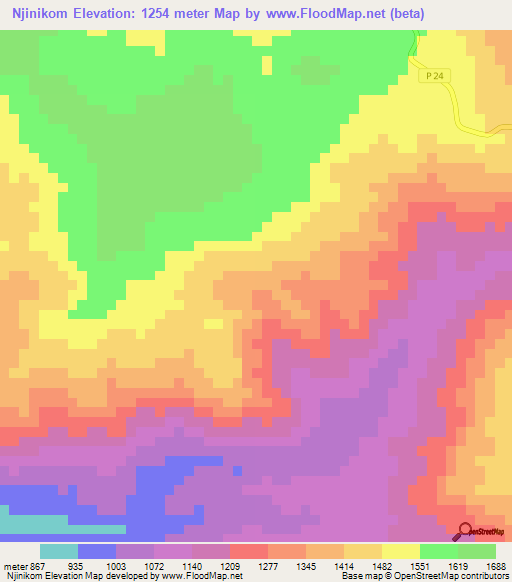 Njinikom,Cameroon Elevation Map