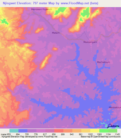 Njingwet,Cameroon Elevation Map