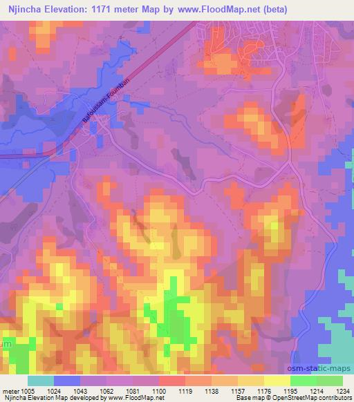 Njincha,Cameroon Elevation Map