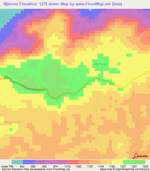 Njimom,Cameroon Elevation Map