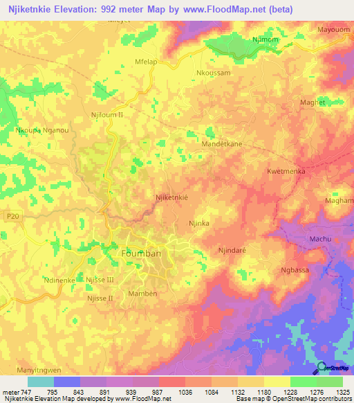 Njiketnkie,Cameroon Elevation Map