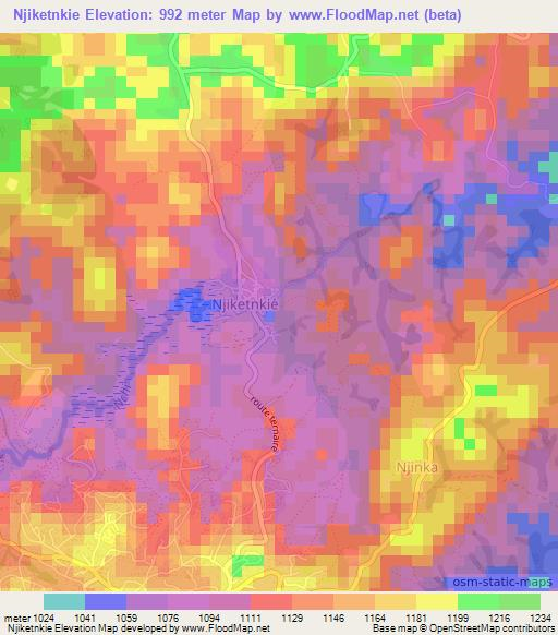 Njiketnkie,Cameroon Elevation Map