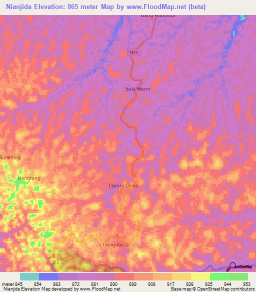 Nianjida,Cameroon Elevation Map