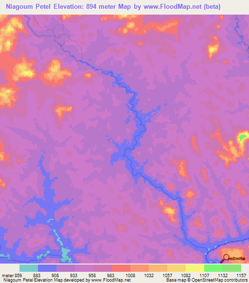 Niagoum Petel,Cameroon Elevation Map